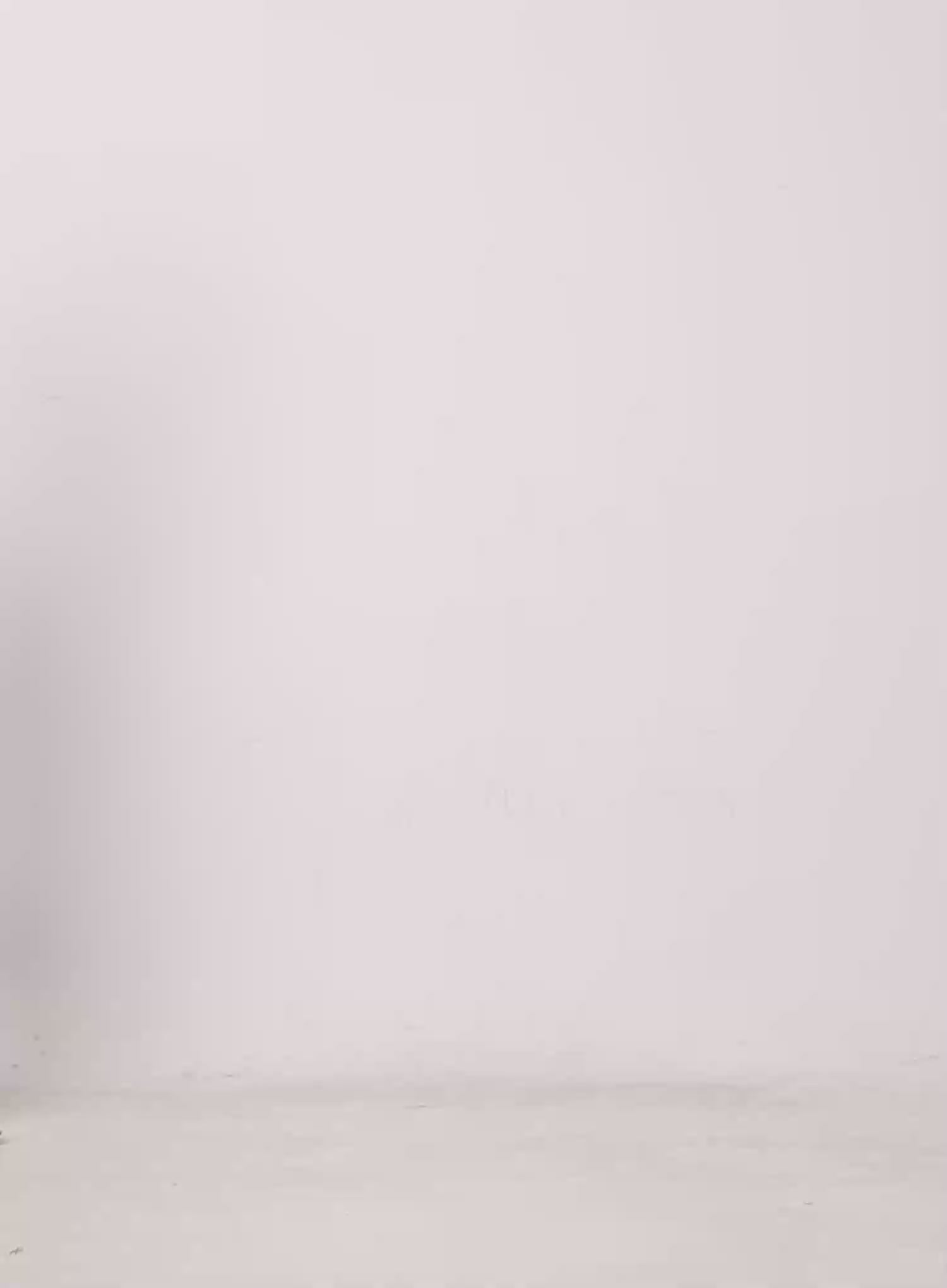 Two-Tone Comfy Maxi Skirt IU523